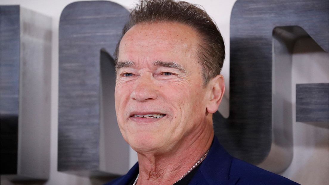 Un fan publica una foto de la pipa que talló por el cumpleaños de Schwarzenegger y este le pide que se la venda