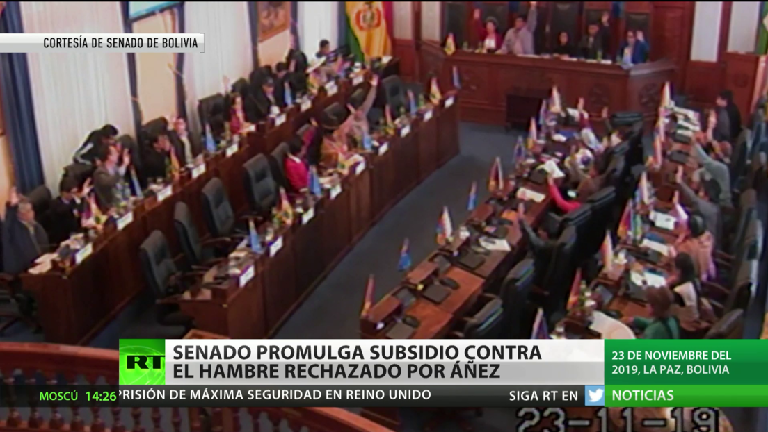 Bolivia: El Senado promulga un subsidio contra el hambre pese a las objeciones de Áñez