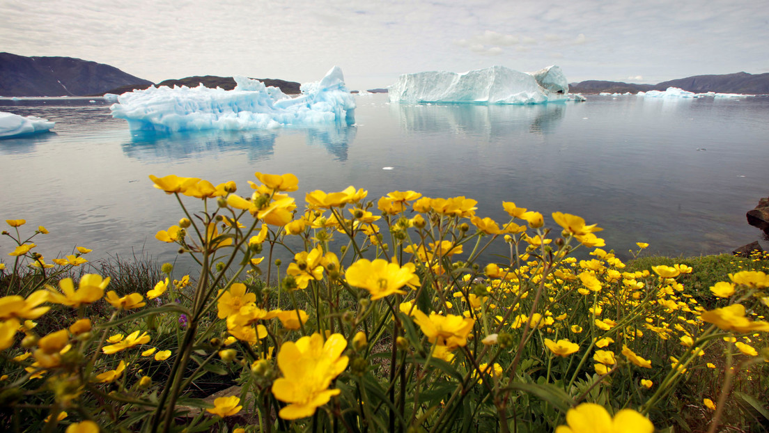 Otorgan a Groenlandia el récord de temperatura más baja en el hemisferio norte, cercano a los -70 °C