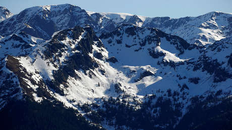España: Encuentran una extraña planta en dos parques naturales de los Pirineos