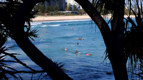 VIDEO: Un tiburón mata a un surfista en una playa protegida con redes en Australia
