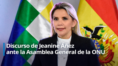 Áñez denuncia ante la ONU "el acoso sistemático y abusivo que ejerce el gobierno kirchnerista" de Argentina contra Bolivia