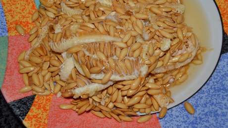 Diagnostican cáncer de colon a una pareja que comió semillas de melón todos los días durante dos años