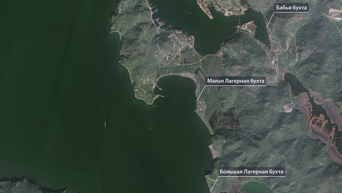 Publican imágenes de satélite de Kamchatka donde varias playas quedaron cubiertas de animales muertos por la contaminación de las aguas del Pacífico