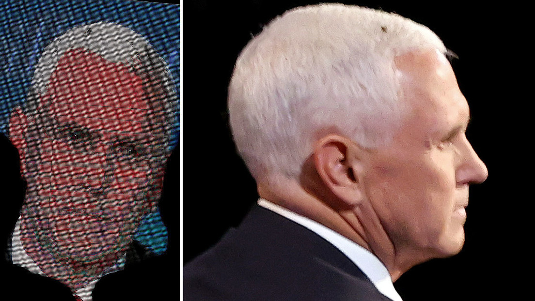 Una mosca en la cabeza de Pence se roba el 'show' durante el debate con Harris y los internautas la proclaman la ganadora del evento