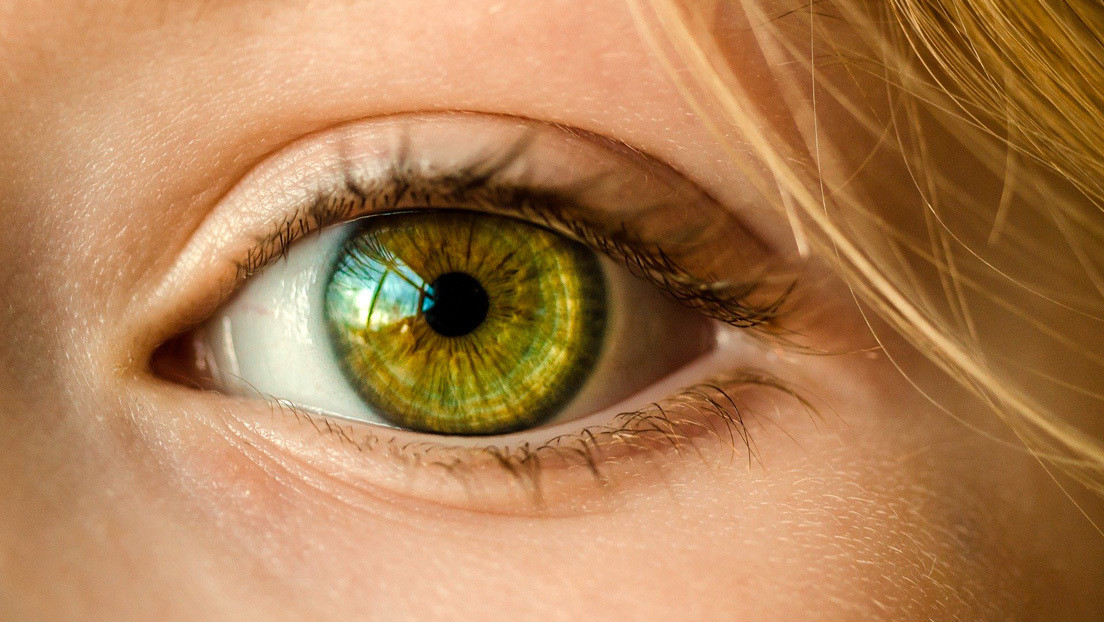 Los humanos tenemos los genes para regenerar los ojos ciegos, pero la evolución desactivó esta función