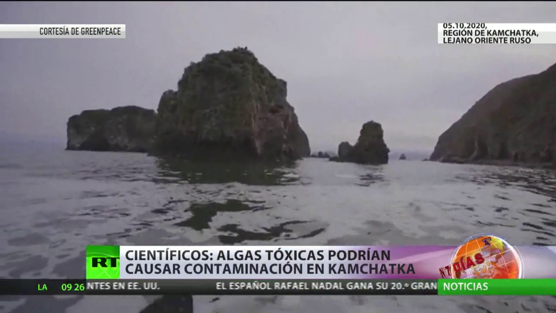 Científicos declaran que algas tóxicas pudieron causar la contaminación en Kamchatka