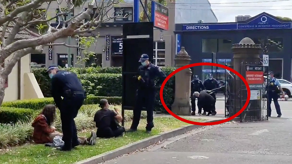 A patadas tira la policía al suelo a un profesor de la Universidad de Sídney que observaba una protesta estudiantil (VIDEO)