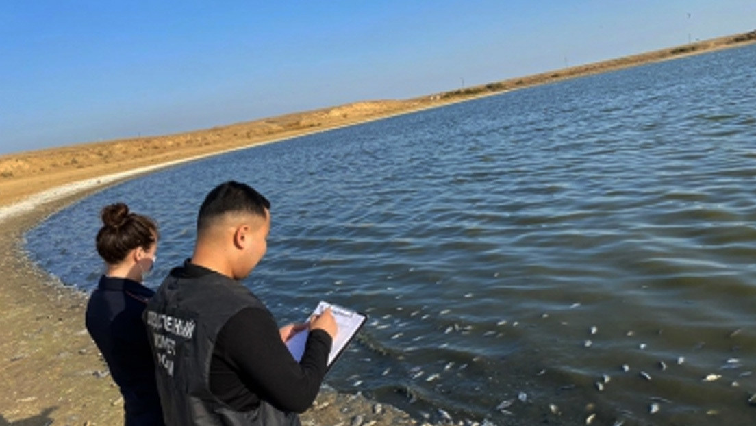 VIDEO: Nueva alarma al sur de Rusia por la muerte masiva de peces tras la tragedia ambiental en el Lejano Oriente