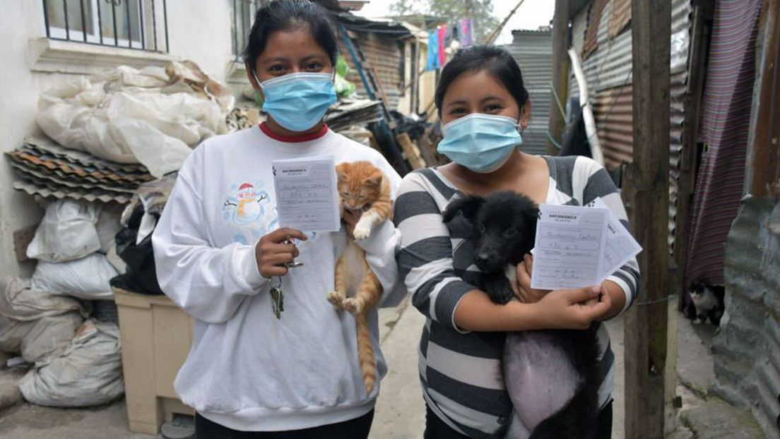 FOTO: Un perrito va en tapabocas a una jornada de vacunación y se roba los corazones de la Red