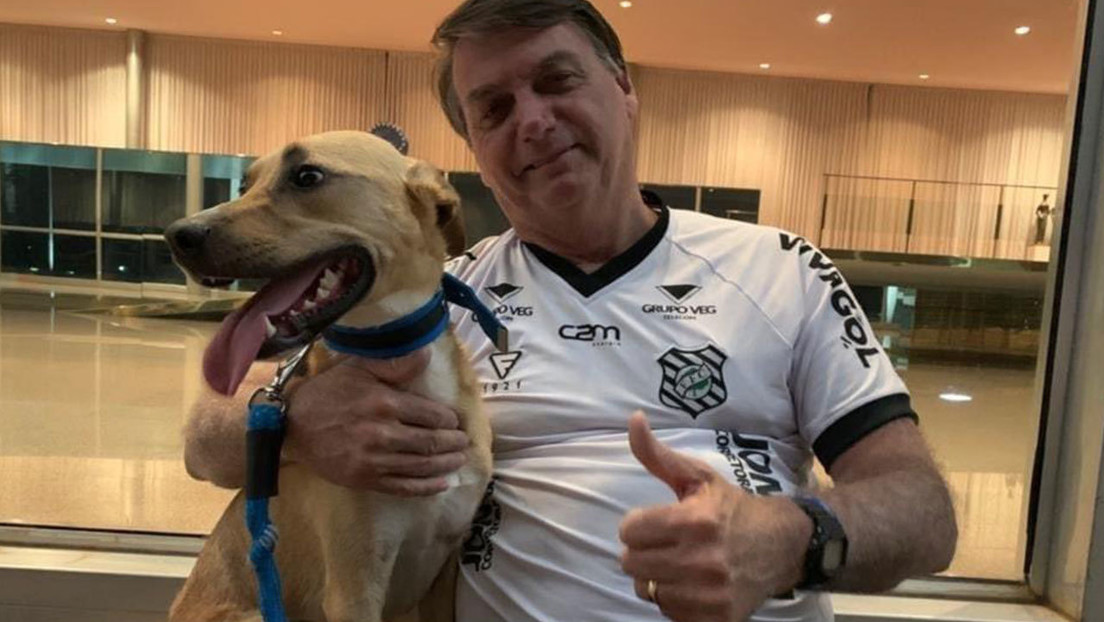Bolsonaro contra el medicamento chino Coronavac: "La vacuna obligatoria aquí solo es para los perros"