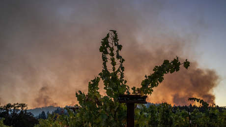 Los incendios forestales en California alcanzan el estatus de 'gigafuego' por primera vez en la historia moderna