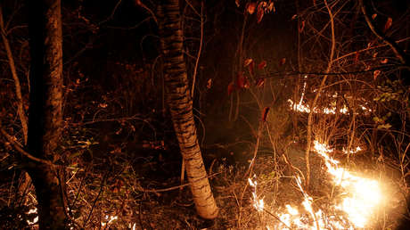 El Gobierno de facto de Bolivia declara el desastre nacional por los incendios forestales