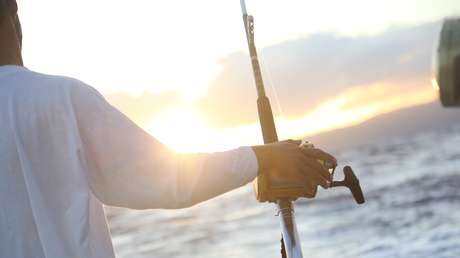 FOTOS: Pescador encuentra un extraño tiburón bebé de dos cabezas