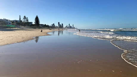 Hallan muerta una tortuga gigante de 2,5 metros de largo en Australia