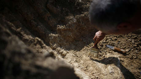 Niño encuentra un raro fósil de dinosaurio con pico de pato de 69 millones de años (FOTO)