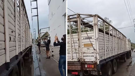 VIDEO: Animalistas acuden a un matadero para dar el último adiós a los animales y son dispersados a golpes por los trabajadores
