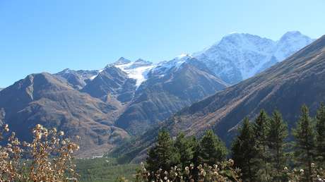 Reconstruyen la dieta de los pastores de la Edad del Bronce del Cáucaso norte y llegan a una conclusión inesperada sobre su movilidad