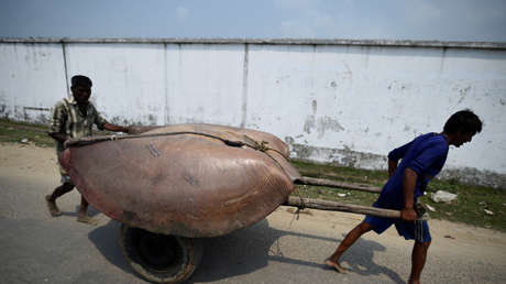 Pescan en la India una mantarraya gigante de 750 kilos (VIDEO)