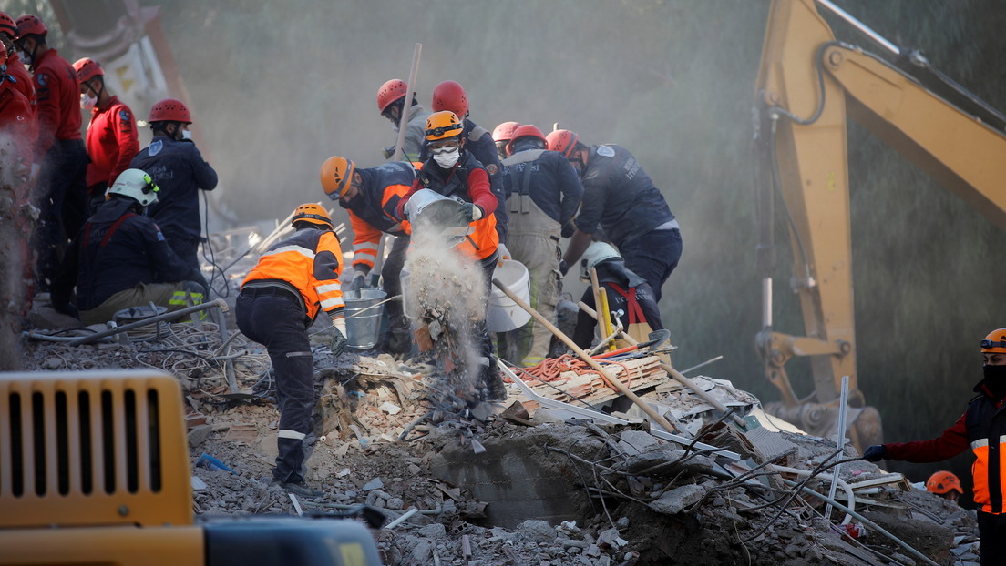 VIDEO: Un perro rescatista salva a un gato de los escombros de un edificio derrumbado por el terremoto en Turquía
