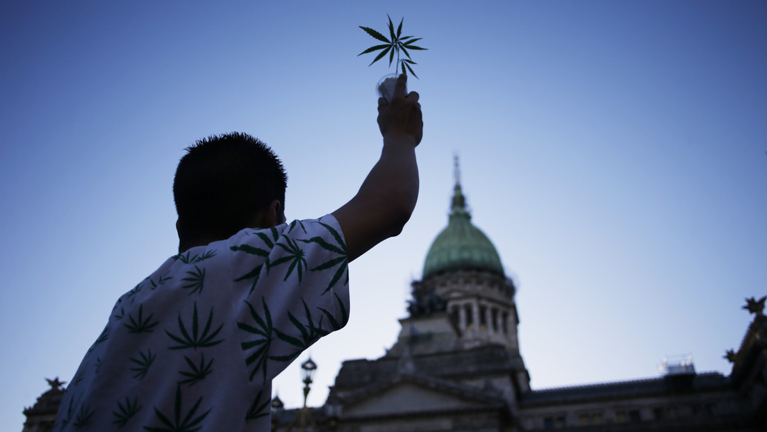Cambios de paradigma: Argentina legaliza por decreto el autocultivo de marihuana con fines medicinales