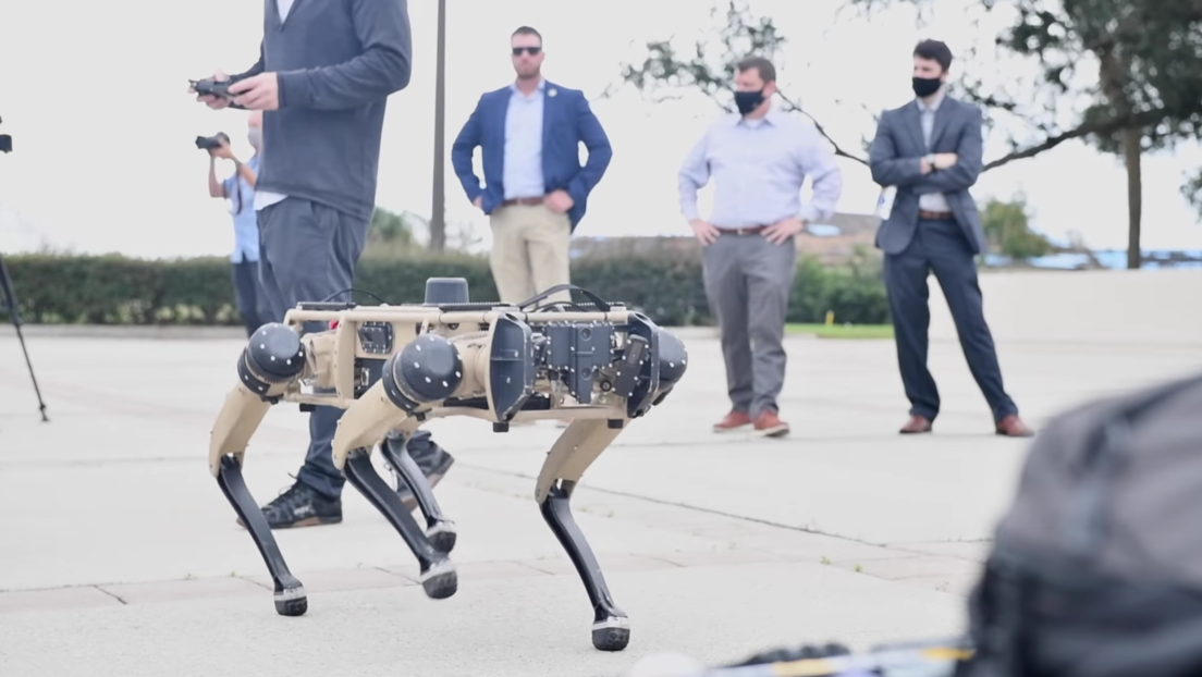 ¡Cuidado con el robot guardián!: Una base de EE.UU. usa perros mecanizados para vigilar su territorio (VIDEO)