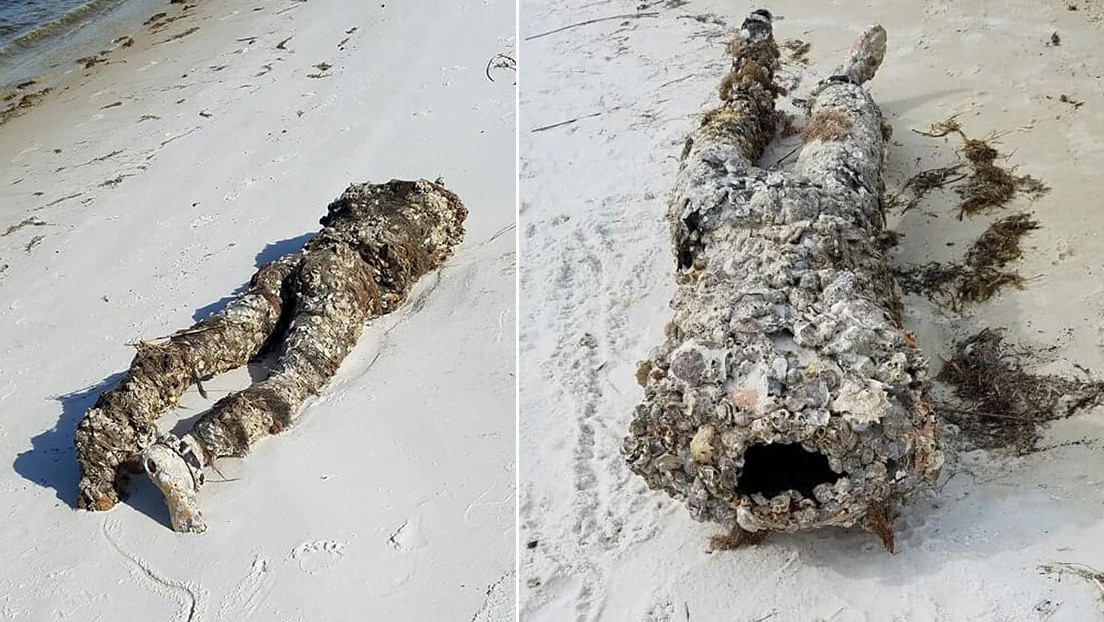 ¿Cadáver o maniquí?: realizan un siniestro hallazgo en una playa de Florida (FOTO)