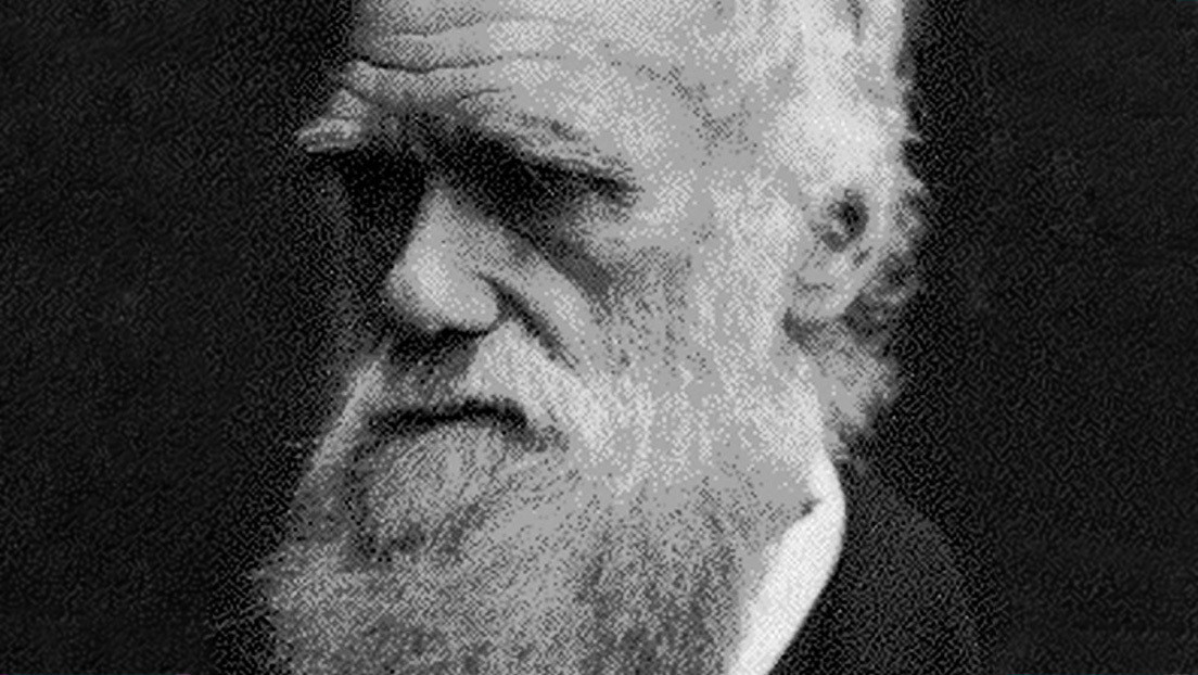 Denuncian 20 años después de su desaparición el robo de dos manuscritos de Darwin