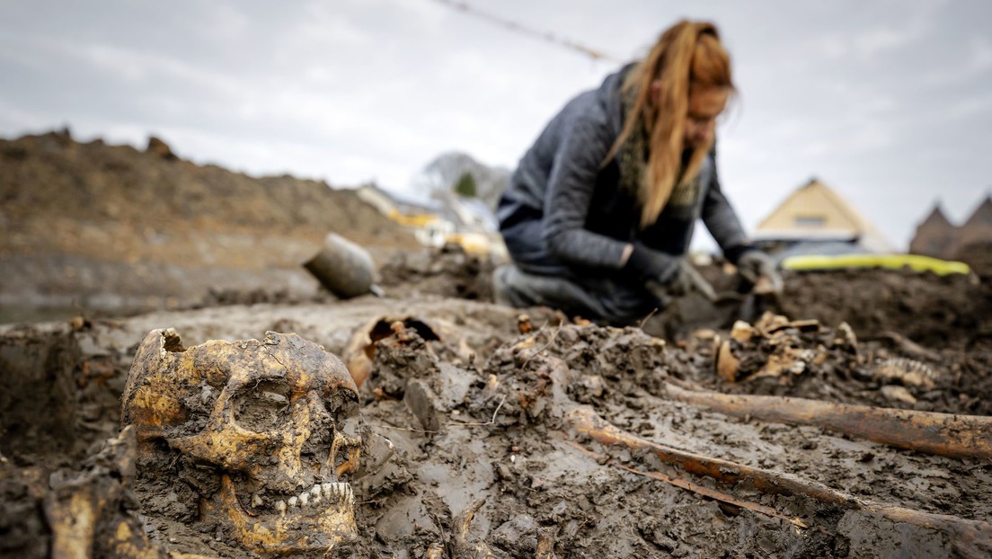 Descubren una misteriosa fosa común con 20 esqueletos medievales en Países Bajos (FOTOS)