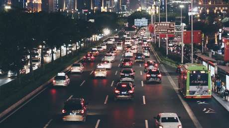 VIDEO: Un perro arrastra fuera de la carretera e intenta 'despertar' a un gato muerto tras ser atropellado por un coche