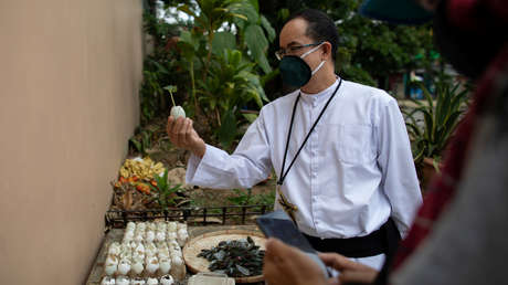 La pandemia de coronavirus provoca un bum de la jardinería en Filipinas