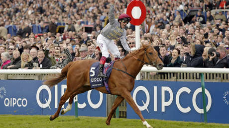 Este caballo de carreras 'jubilado' cuesta más que Messi y Cristiano Ronaldo juntos