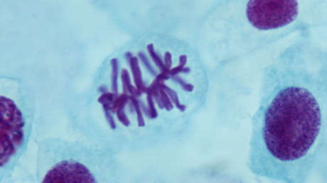 Crean un mapa 3D que rompe el estereotipo visual del cromosoma