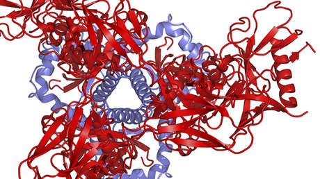 La inteligencia artificial de DeepMind halla la solución a un problema biológico clave que los científicos no han podido resolver en más de 50 años