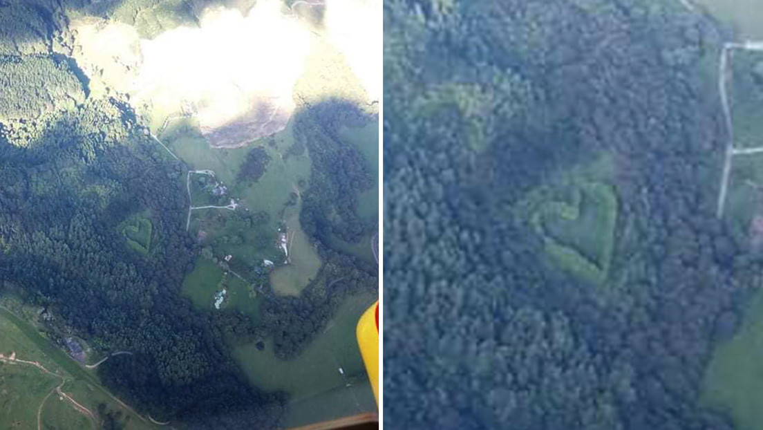 FOTO: Un equipo de rescate de Nueva Zelanda capta el 'corazón del bosque' desde un helicóptero