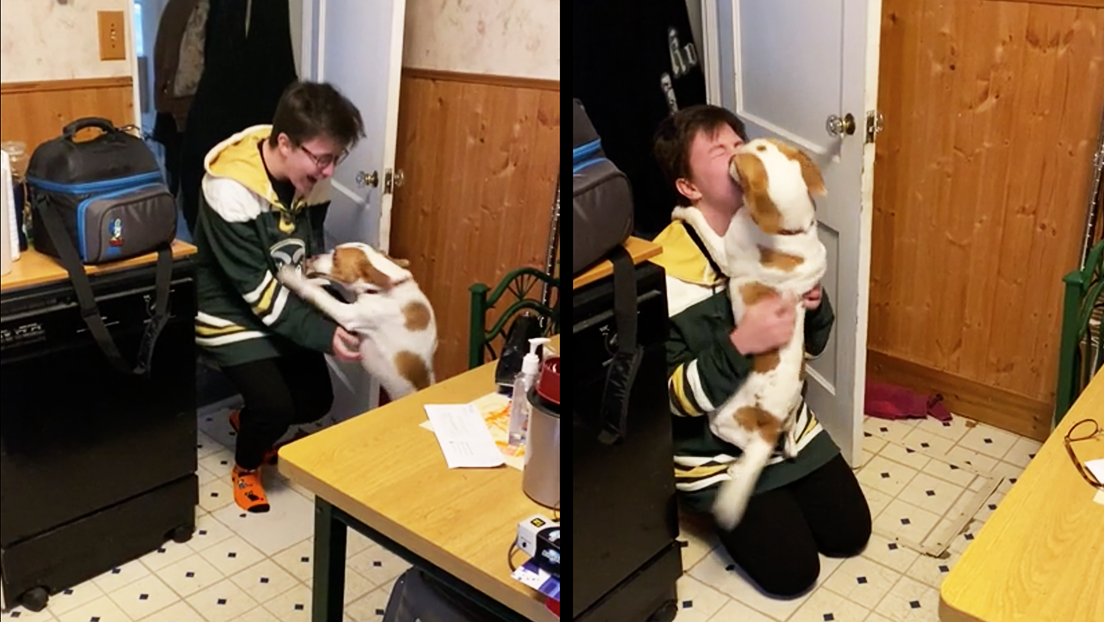 VIDEO: Un perro se reencuentra con su dueño tras cuatro meses y su efusiva reacción conmueve a los internautas