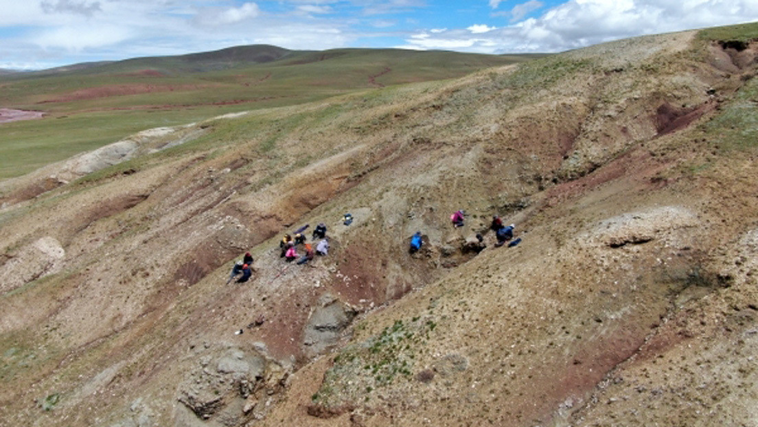 Hallan en el Tíbet rastros de un ecosistema al estilo Shangri-La, que data de hace 47 millones de años
