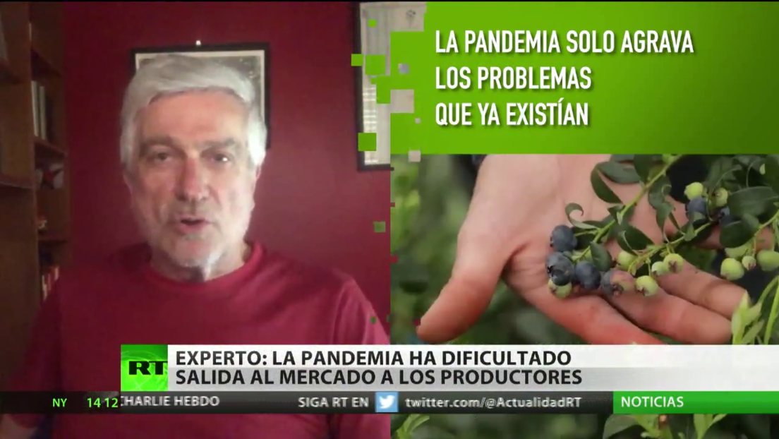 Economista afirma que "la pandemia de coronavirus agravó los problemas de la agricultura" en América Latina