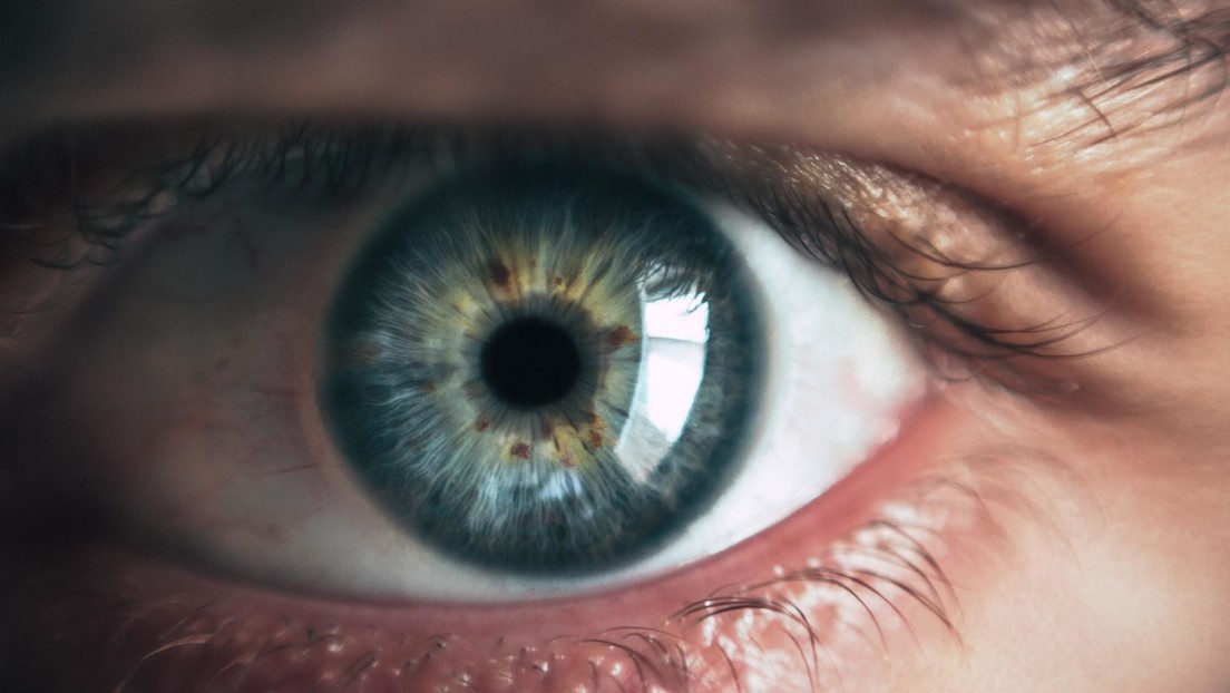 Descubren que la terapia génica de un ojo mejora inesperadamente el funcionamiento del otro