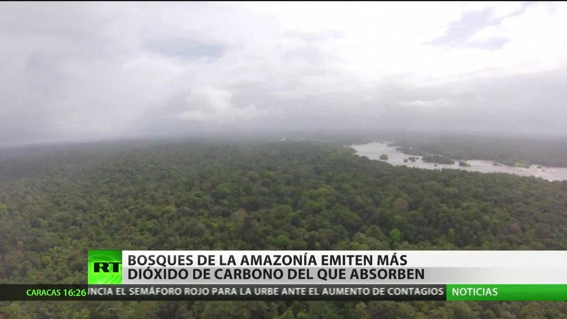 Bosques de la Amazonía emiten más dióxido de carbono del que absorben