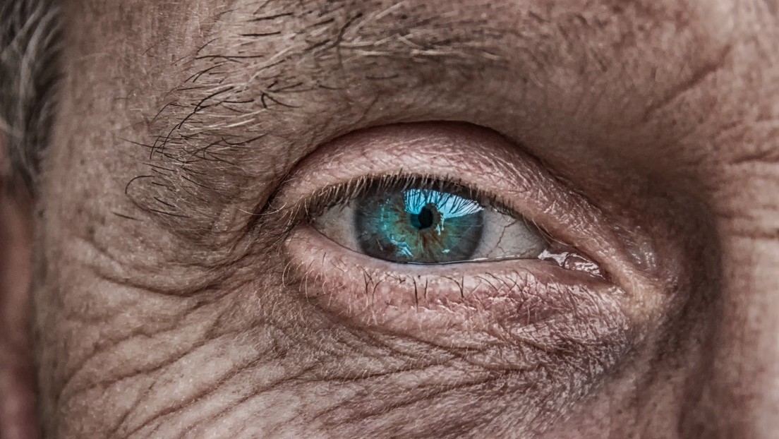 Científicos españoles 'resucitarán' ojos de fallecidos en busca de un nuevo tratamiento de la degeneración ocular
