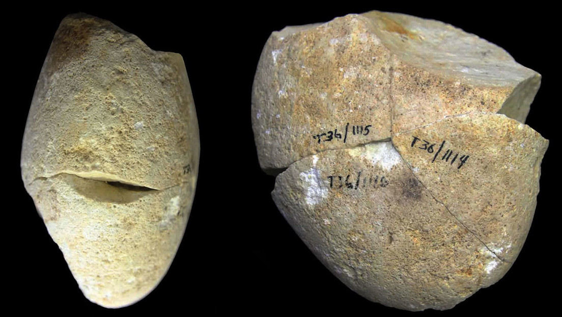 Identifican en Israel la herramienta de piedra más antigua usada para "raspar con delicadeza" hace unos 350.000 años