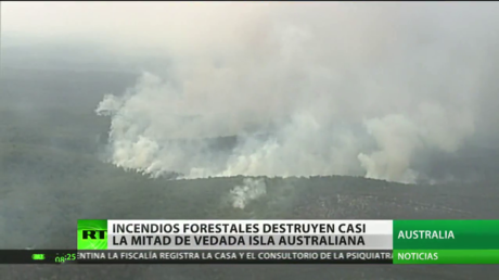 Incendios forestales destruyen casi la mitad de una isla australiana protegida por la UNESCO