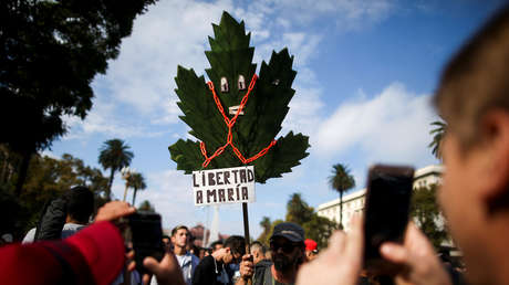 Argentina inaugura su primer laboratorio de marihuana con fines terapéuticos