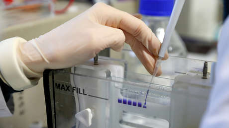 Rusia desarrolla un 'yogur' contra el coronavirus que crea anticuerpos