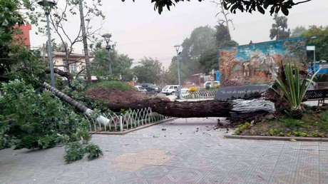 VIDEOS: Vientos huracanados provocan destrozos en el sur de Bolivia