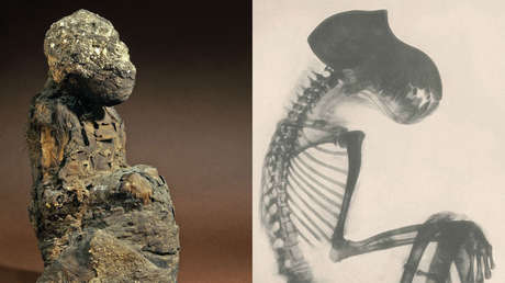 Restos momificados de babuinos arrojan luz sobre la ubicación de la 'Tierra de Dios', un país que fue un importante socio comercial del Antiguo Egipto