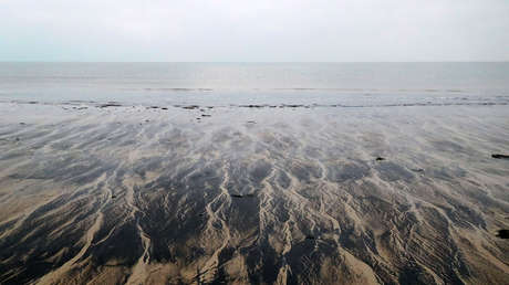 Dos puntas de flecha hechas con huesos humanos: encuentran un rompecabezas de la 'Atlántida' noreuropea