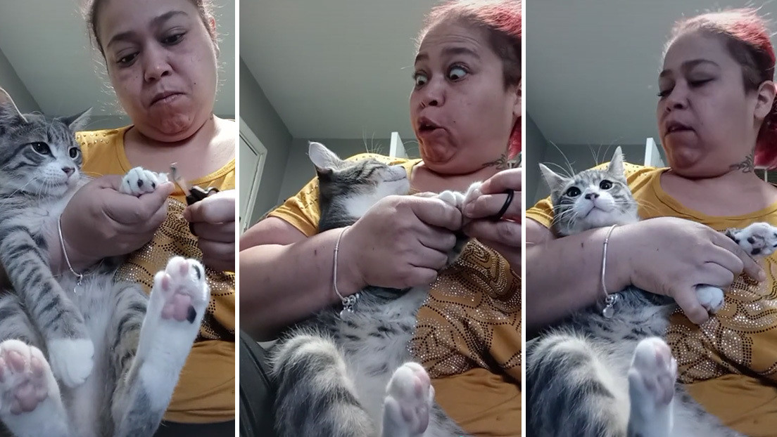 VIDEO: Mujer le devuelve el siseo a su gato mientras le corta las uñas (y la cara de asombro del felino no tiene precio)