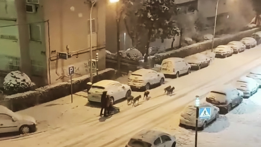VIDEO: Un hombre se pasea por Madrid en un trineo tirado por perros en medio de una histórica nevada